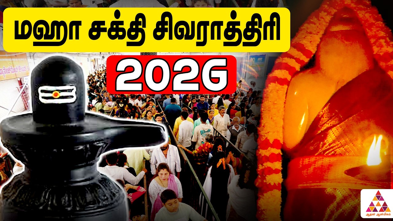 மஹா சக்தி சம்பாளா யந்திராலத்தின் நடந்த சிவராத்திரி பூஜை | #Mahashivratri #ShivaratriPooja