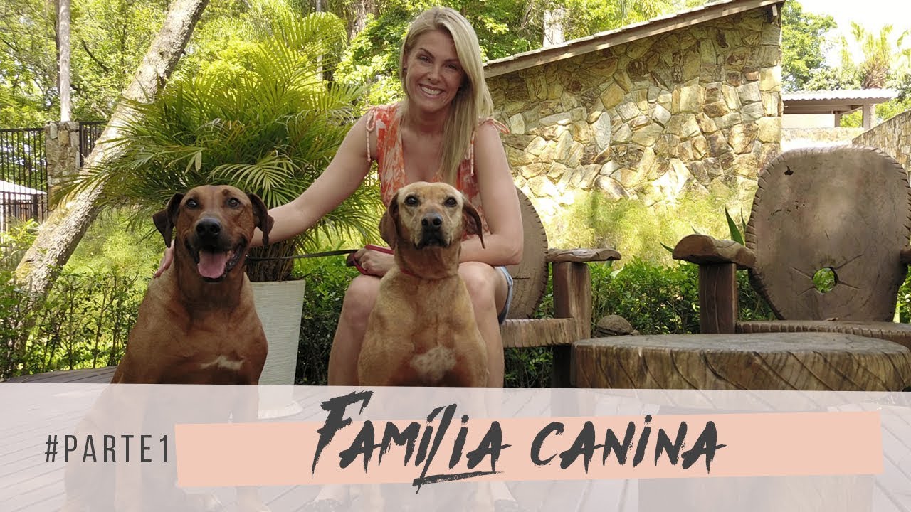FAMÍLIA CANINA #1 | ANA HICKMANN