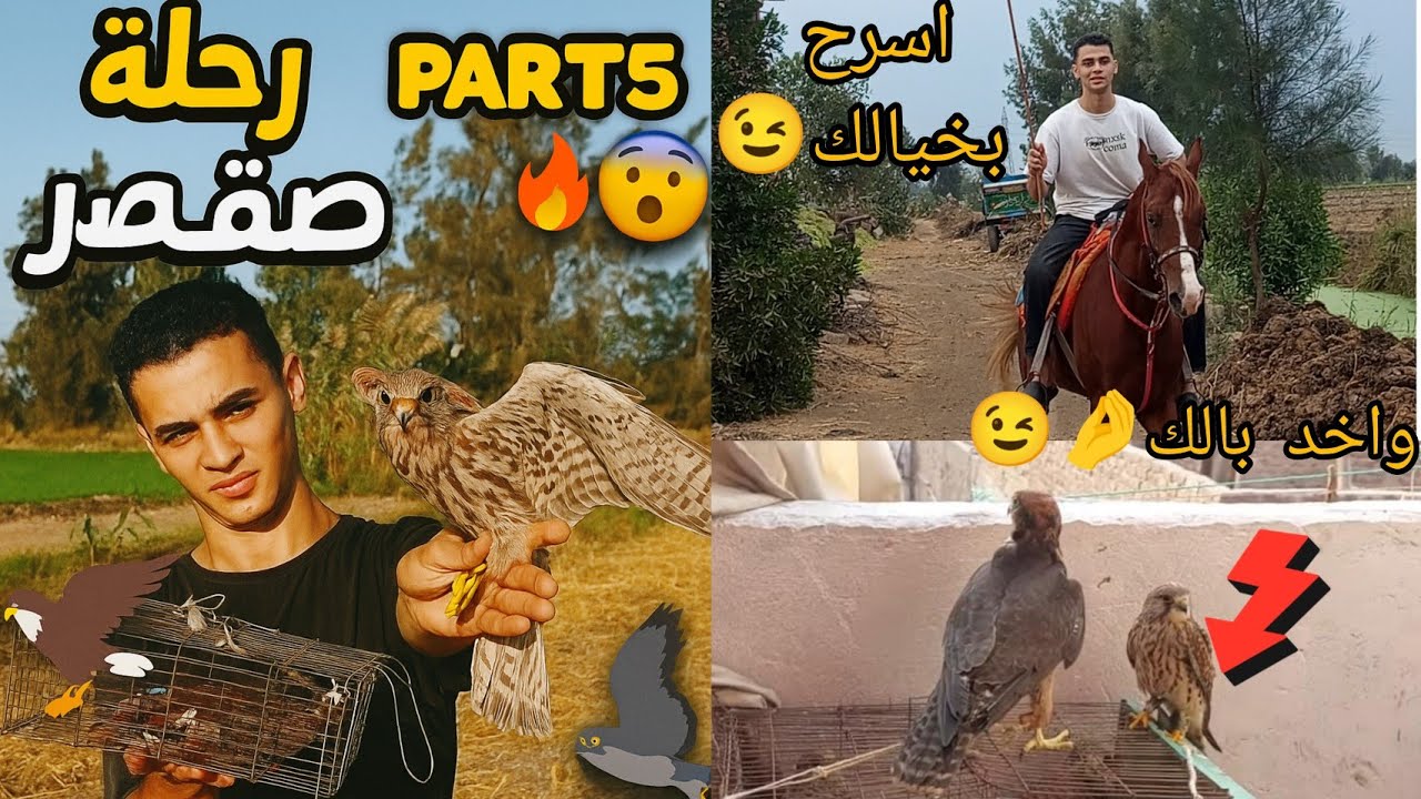 مغامرة صيد صقر الشرياص part5🔥😱 اصطدت باشق جامد وكان هيطير مني!! 🦅