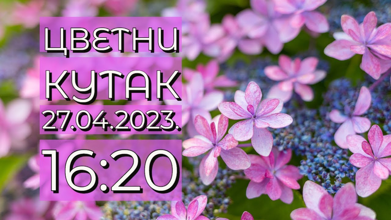 Cvetni kutak ep. 181 27.04.2023. NAJAVA