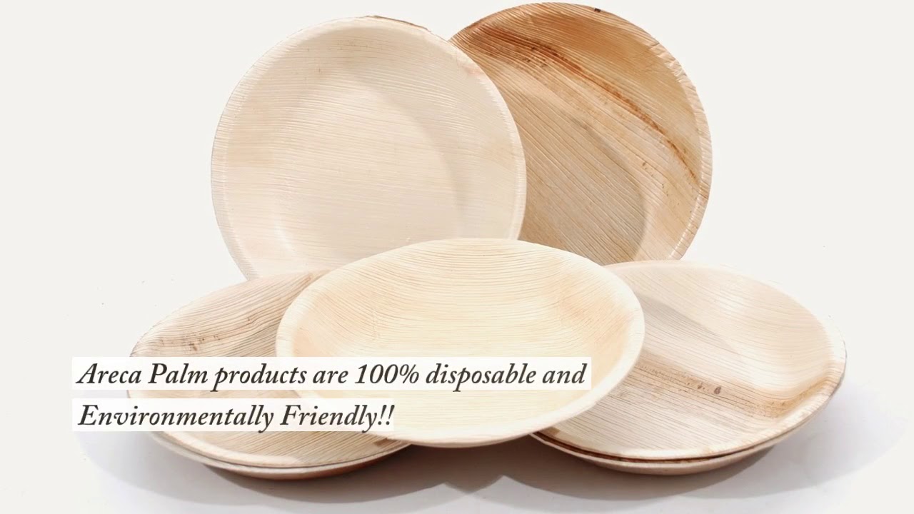 Why Our Palm Leaf Plates are the Best || Leaftrend