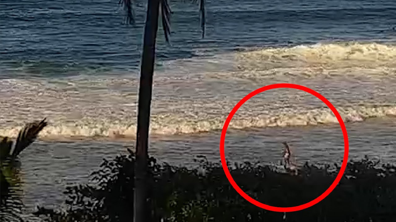 SUP at MAXING Barbados gets OWNED on 1st wave