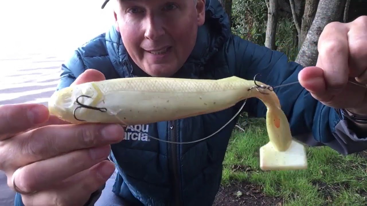 Geddeforfang, rigge agnfisk