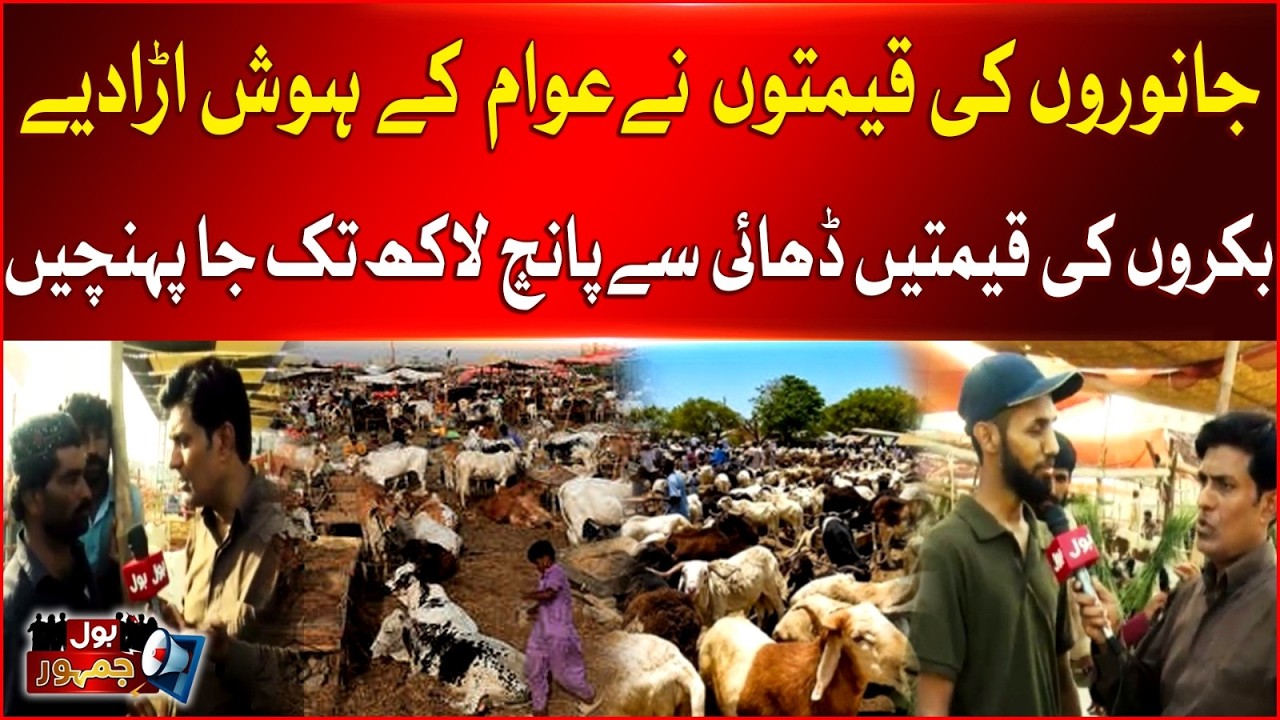 Eid-ul-Adha 2026: Animal Prices Reach Record High | BOL News
