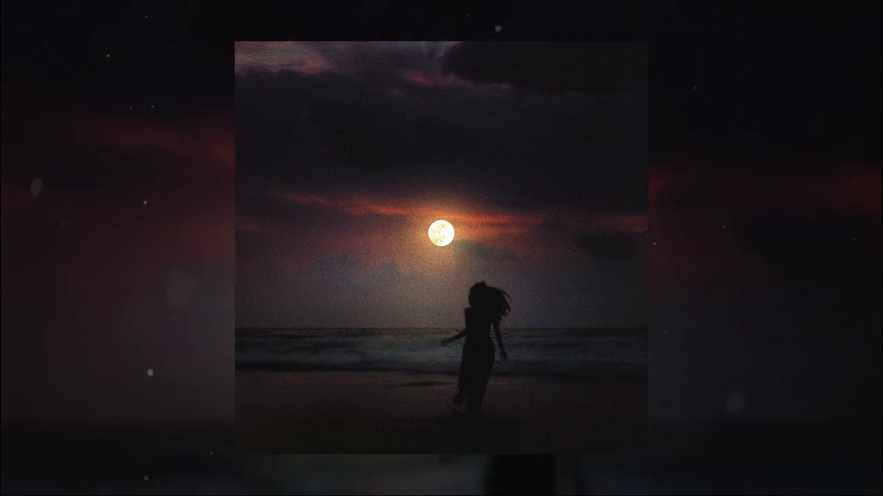 daur x  Кот Балу - под крыльями