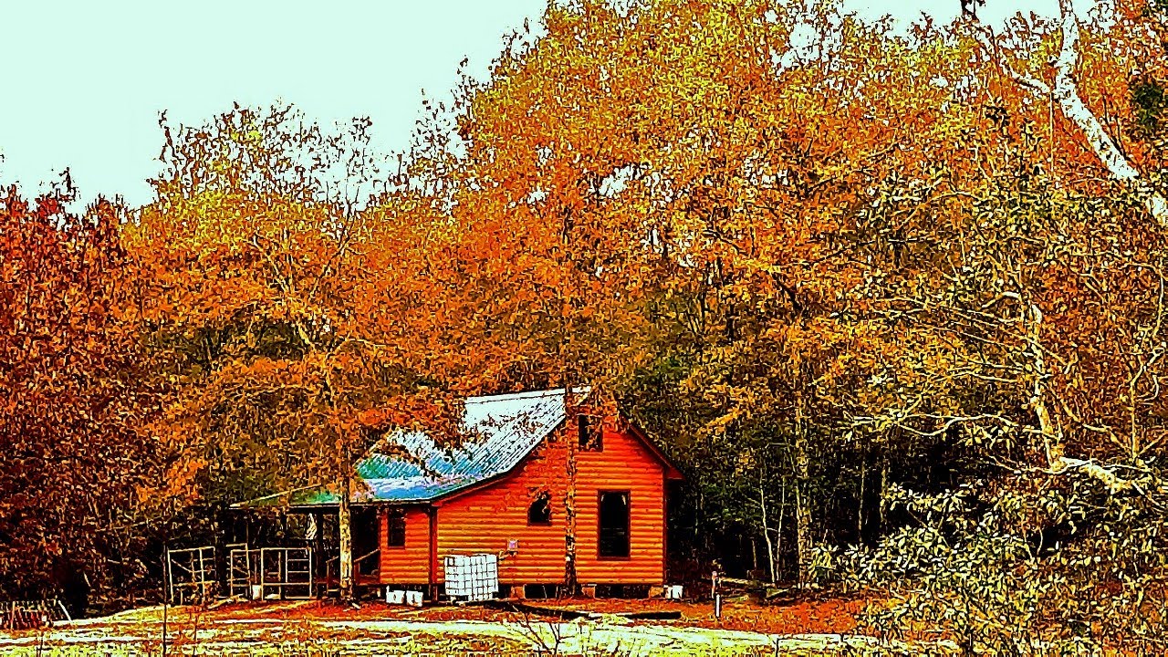 Off Grid Cabin Build | Log Siding Walk Around | Episode18