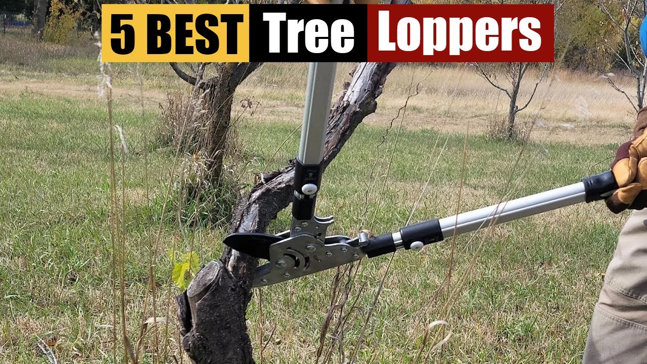 Best Tree Loppers of 2025 [Updated]