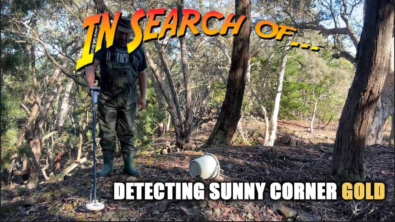 Detecting Gold at the Big Hill Mines (Sunny Corner)