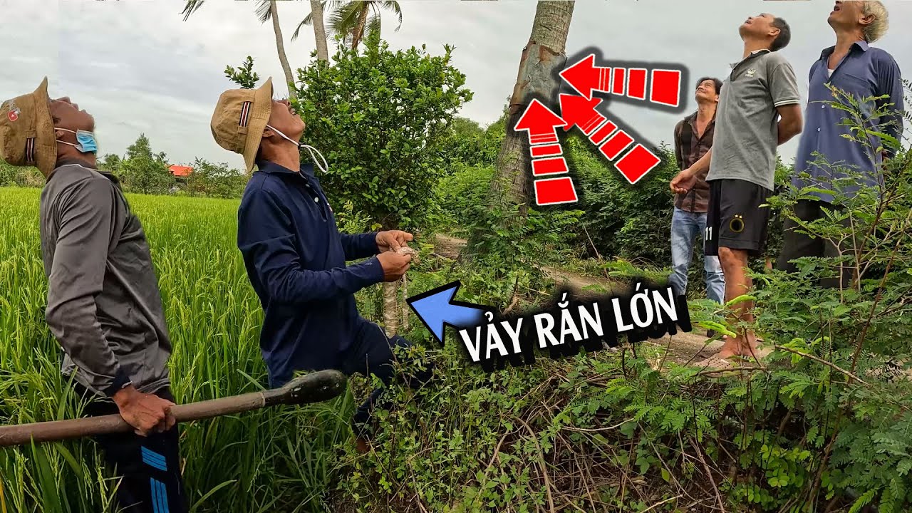 Đang lúc đào hang RẮN, Đây là tình huống NGUY HIỂM NHẤT | TGSB #1040