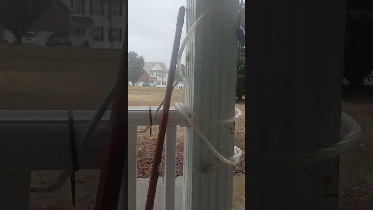 Heavy rain made the chickens go inside the run