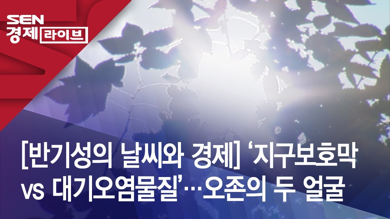 [반기성의 날씨와 경제] ‘지구보호막 vs 대기오염물질’…오존의 두 얼굴