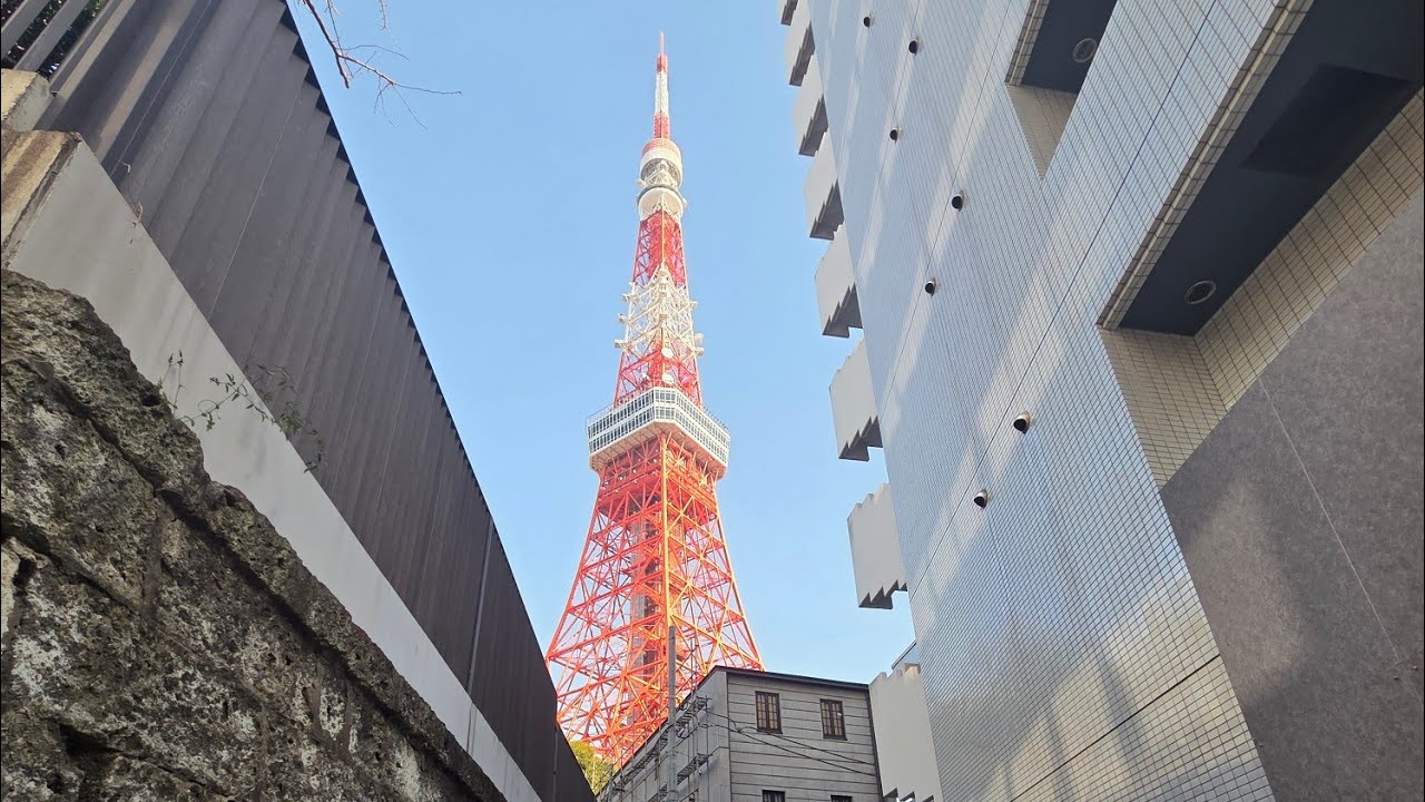 DAY 2 : Enjoy the Tokyo Tower from Shiba Park 🗼& Go to Divercity Odaiba