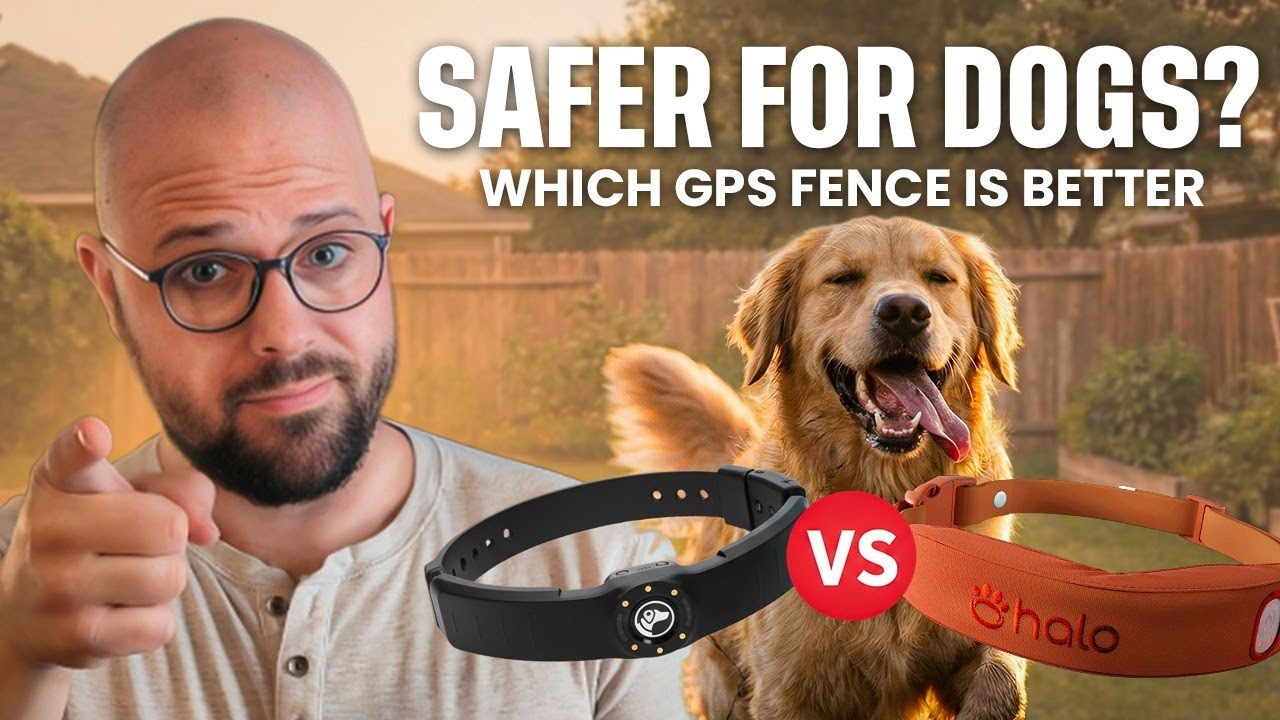 SpotOn vs Halo: Which GPS Fence Is Better for Your Dog?