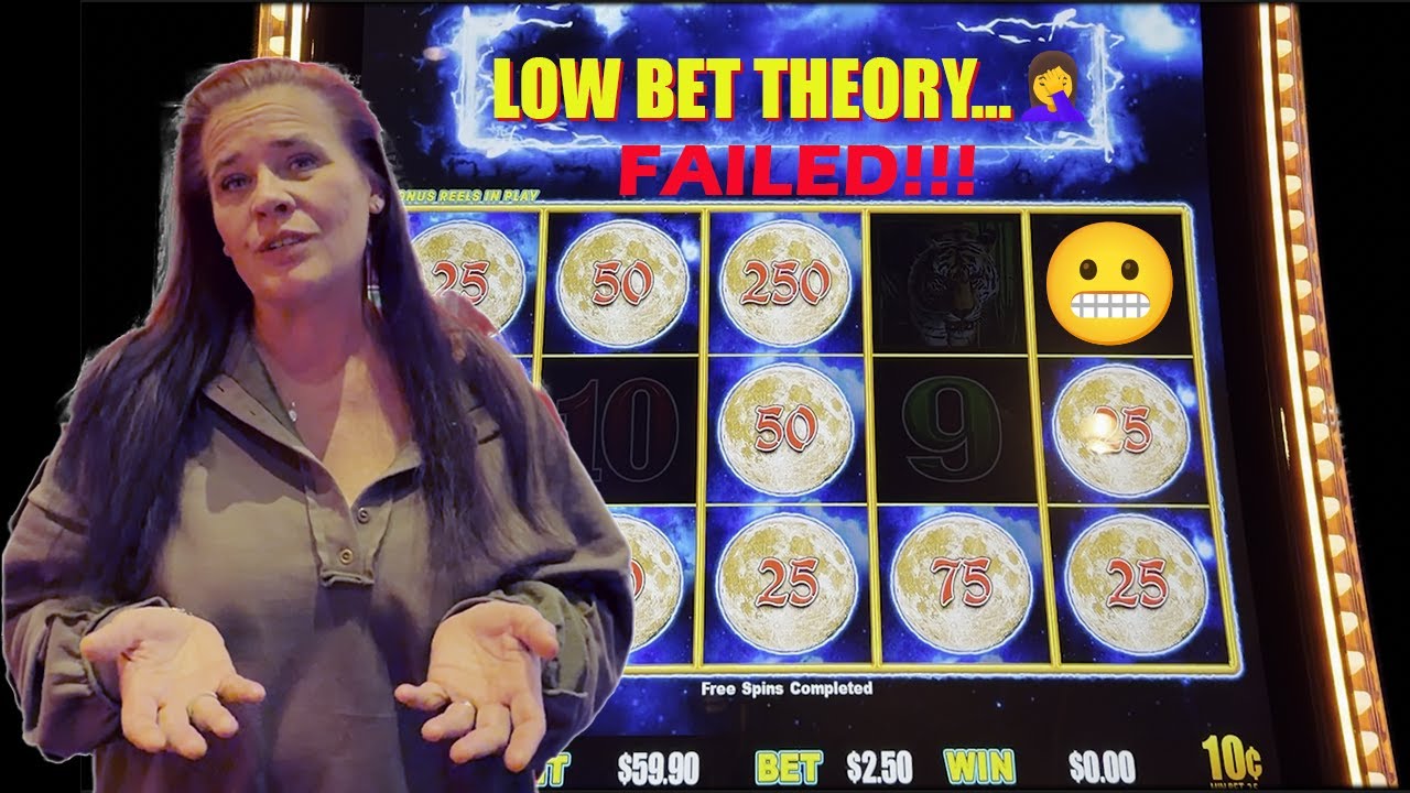 We Tested LOW BETS on Maxed-Out Majors… and Got DESTROYED 😬 (Wild Ninja → Panda Magic)