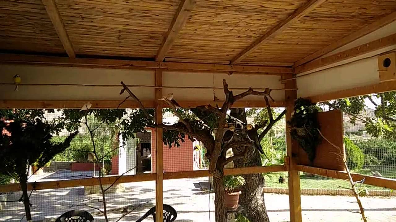 Voladera 3