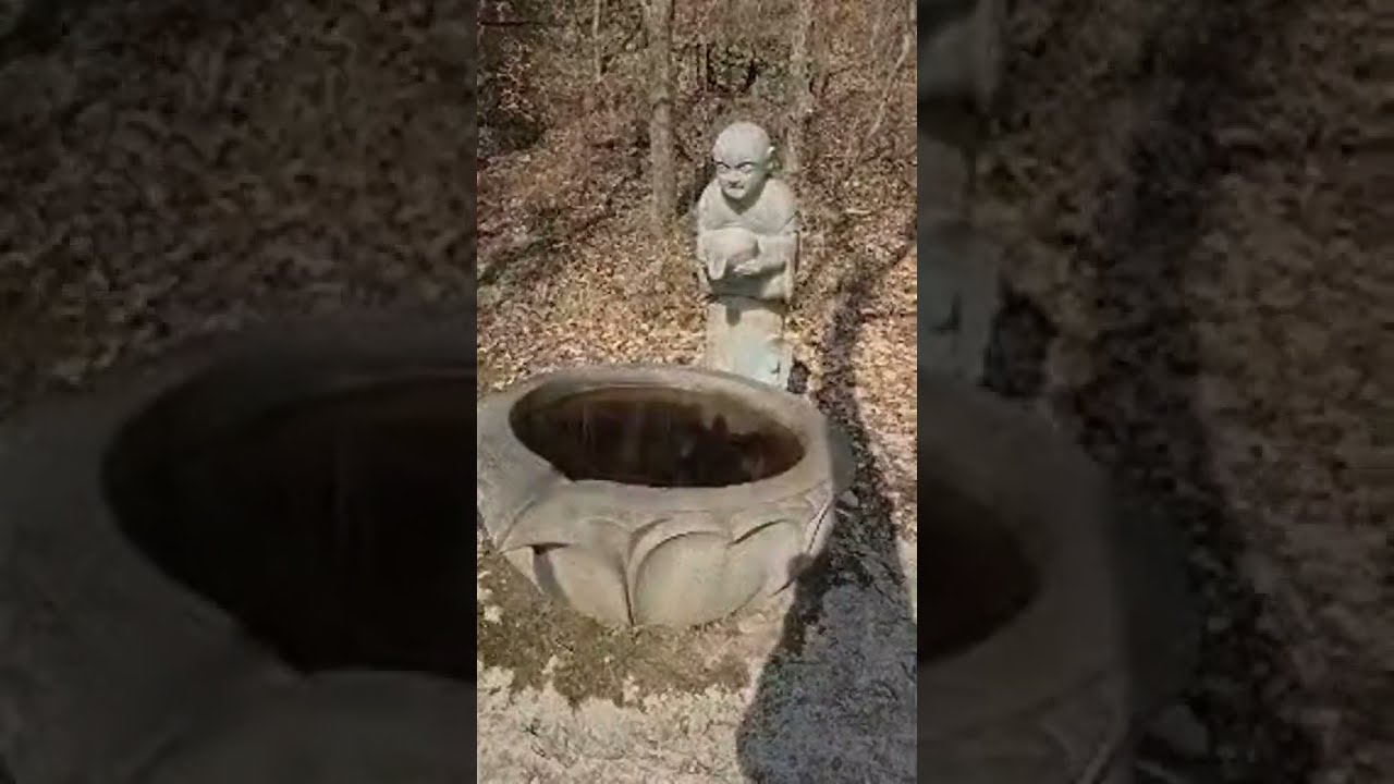 죽비소리 라이브 스트리밍 중