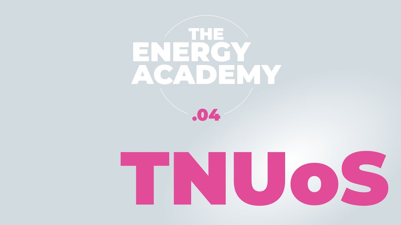 Transmission Network Use of System charges: how does TNUoS work?