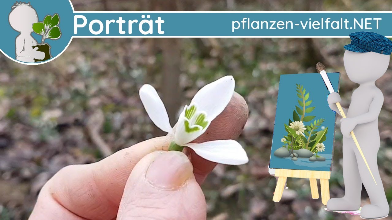 🖼️ Porträt 002 - 