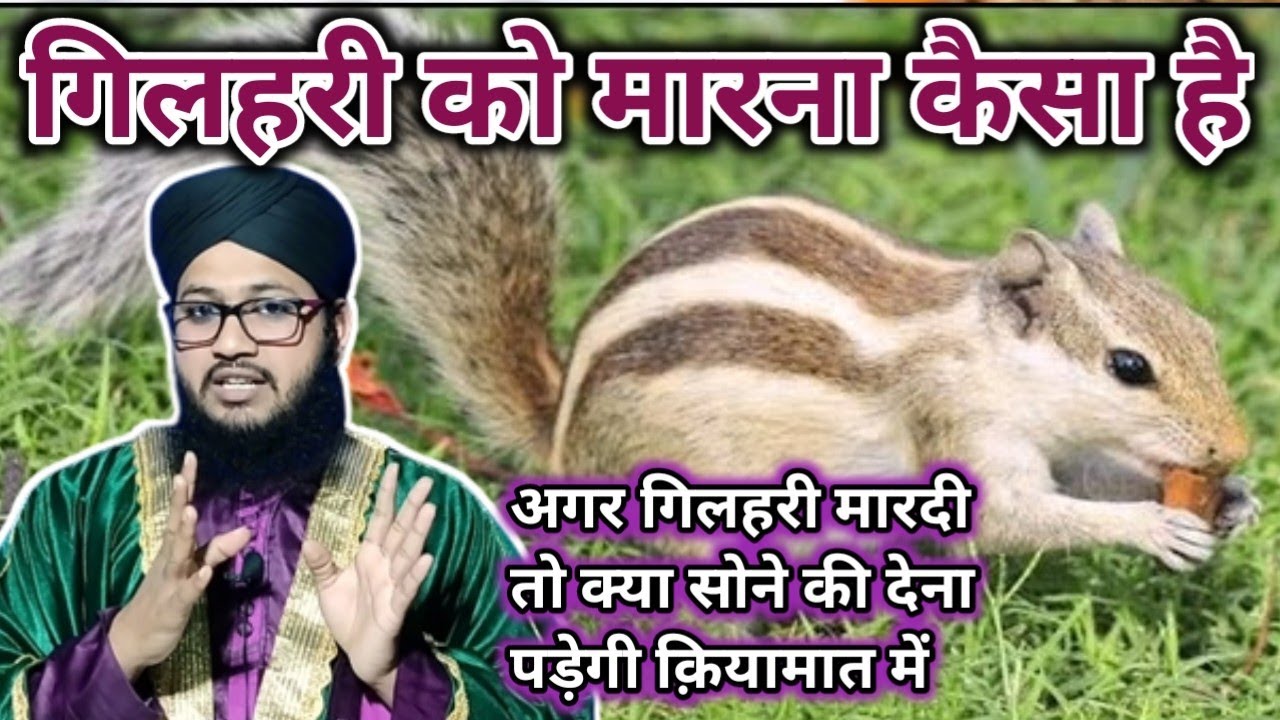Gilhari Ko Marna Kaisa Hai! किया गिलहरी मारने से सोने की देना पड़ेगी! Mufti Taaj Raza Qadri