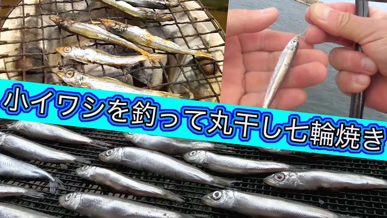 やっぱりいつもの大磯港【ザッコ丸干しのオママゴト七輪焼き】