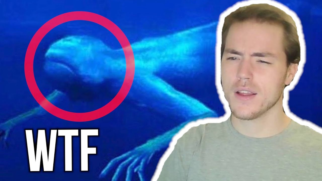 Fish Biologist reacts to 