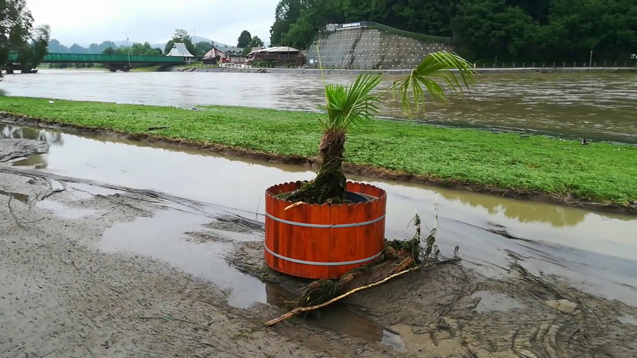 Co zostało z piaszczystej plaży nad Sanem? Palma przetrwała!