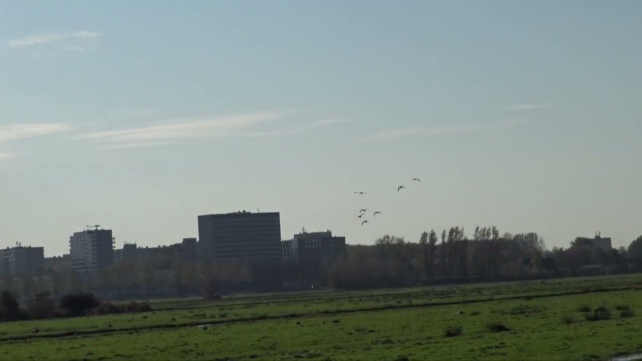 Het Lutkemeer polder: Aan het water genieten