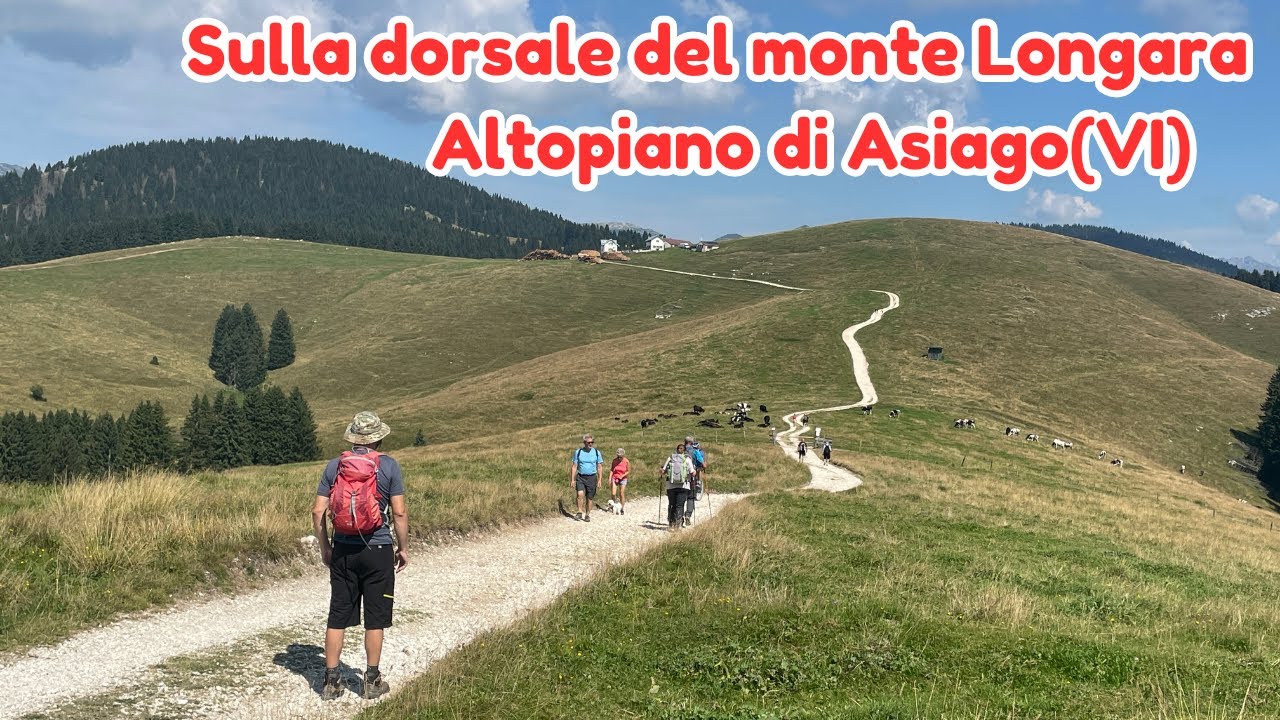 Sulla dorsale del monte Longara - Altopiano di Asiago(VI)