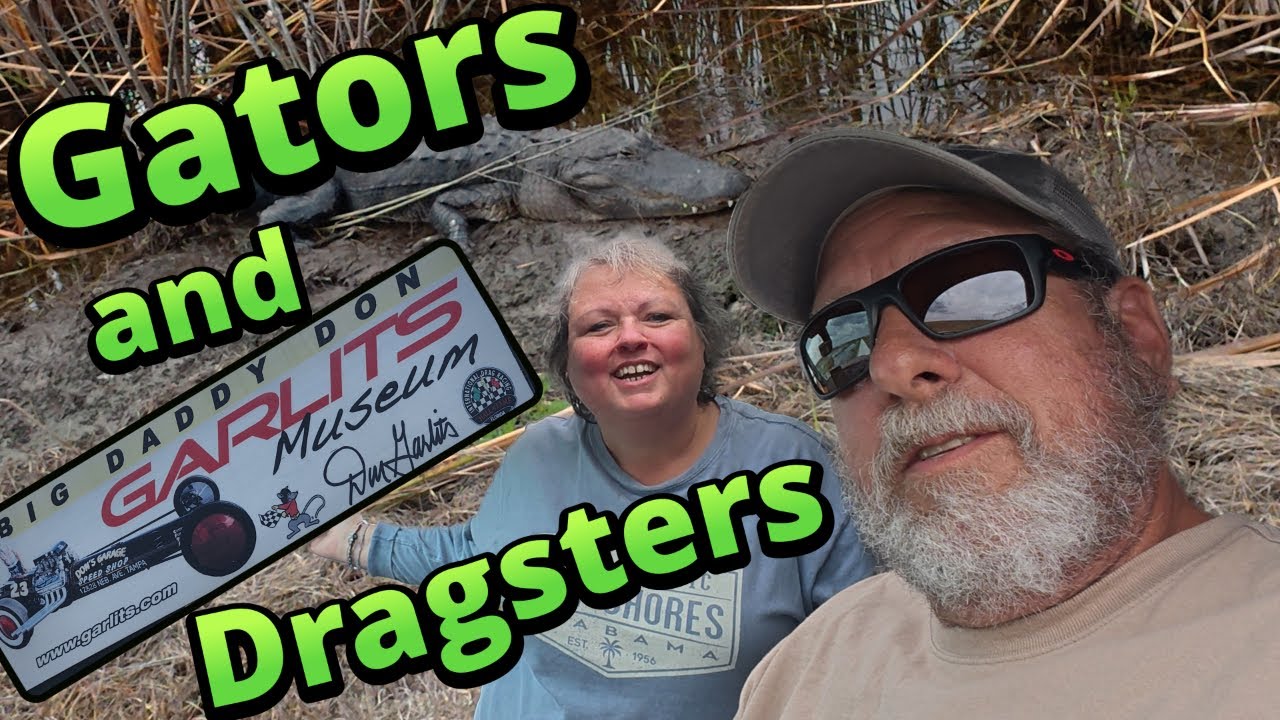 Gators and Dragsters