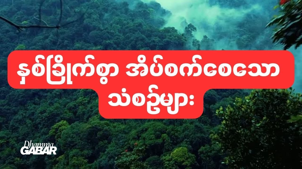 နှစ်ခြိုက်စွာ အိပ်စက်စေသော သံစဥ်များ