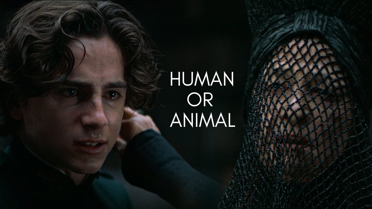 Dune: Would You Pass the Bene Gesserit Test?