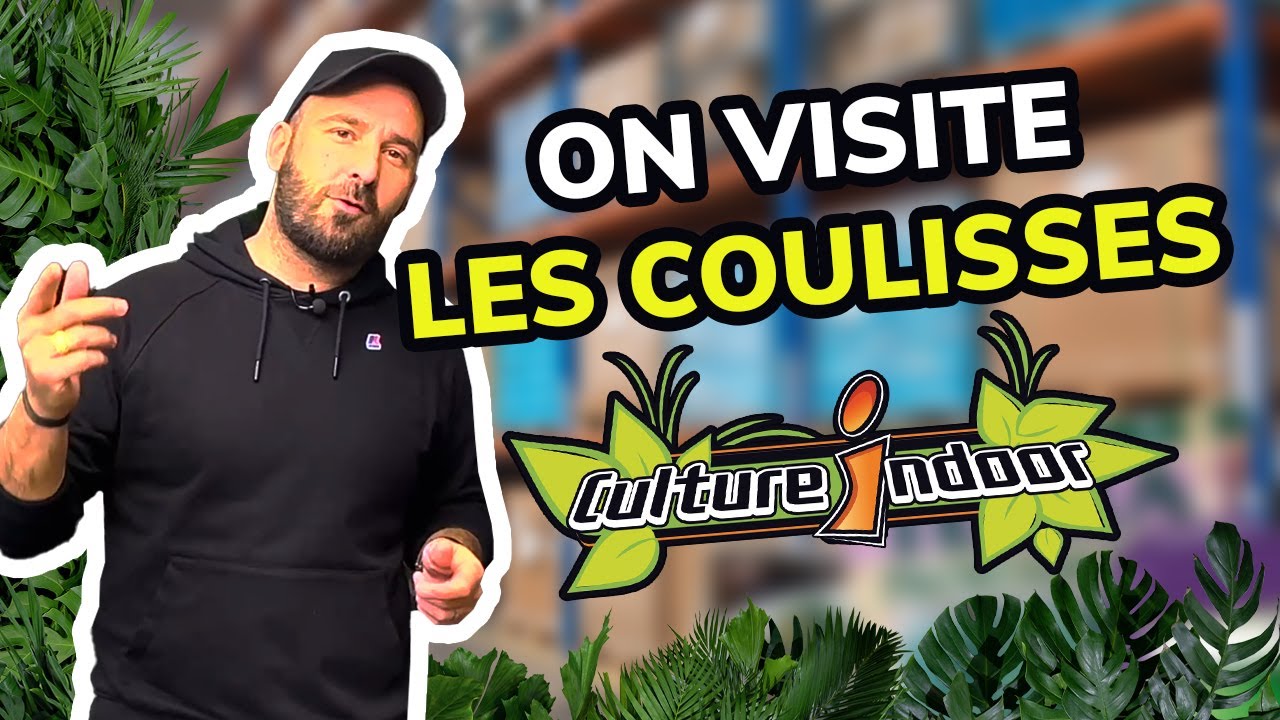 Les coulisses de Culture Indoor : Une plong&eacute;e exclusive dans nos entrep&ocirc;ts