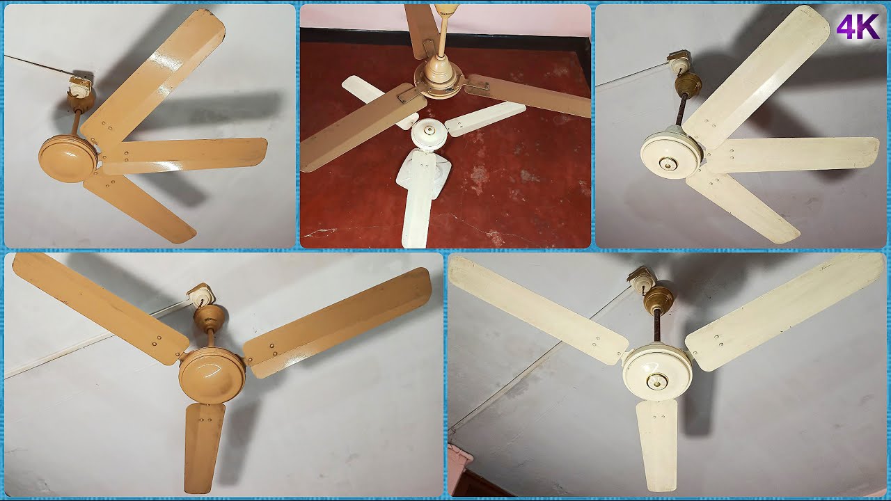 Same Brand Fan vs Fan