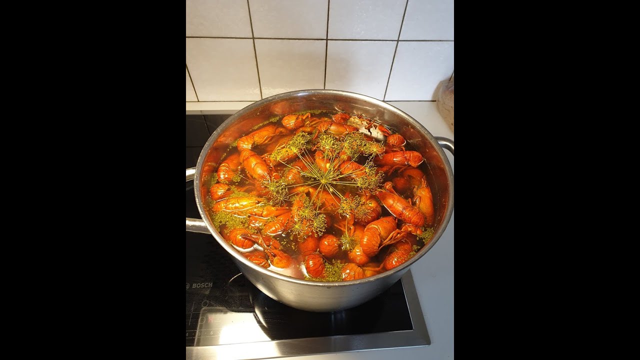 Hur man kokar kräftor 🦞