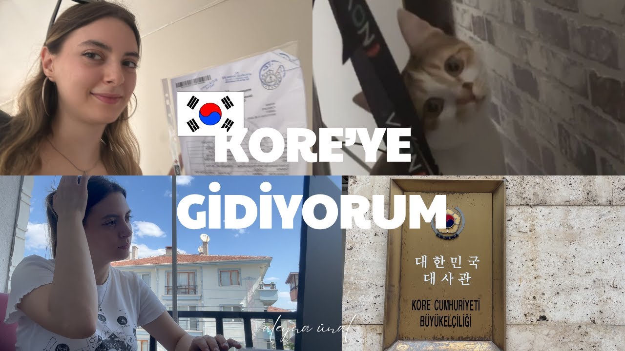 KORE DİL OKULU BAŞVURU SÜRECİM! 🇰🇷sonunda başardım🥲tüm adımlar 📍#seul  #güneykore #aleynaunal