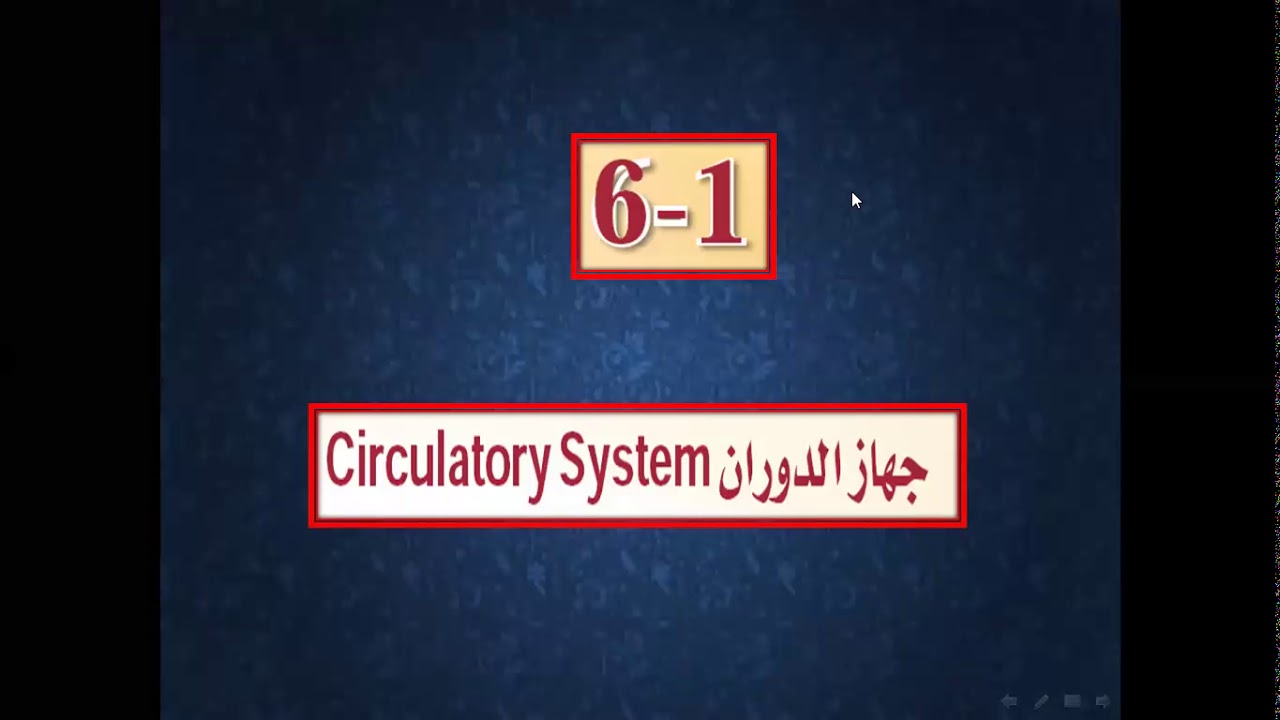 جهاز الدوران وظائف جهاز الدوران الأوعية الدموية احياء ثاني ثانوي مسارات