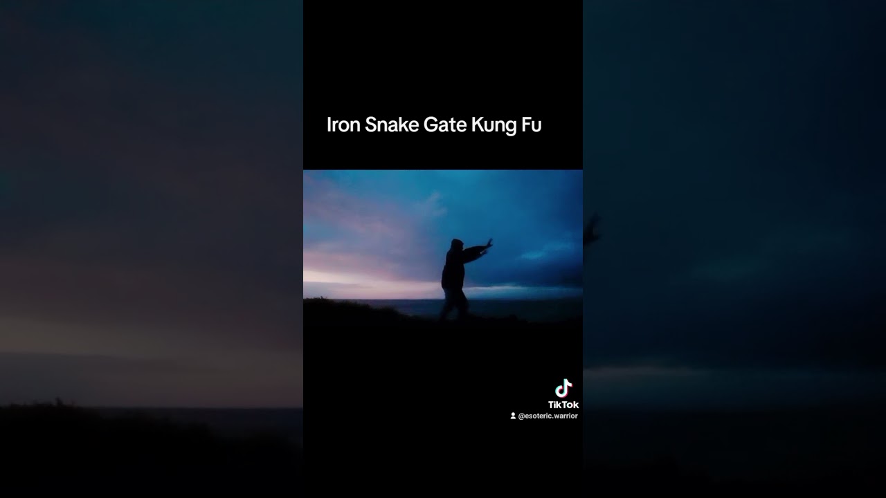 IRON SNAKE GATE KUNG FU  - SIFU GARRY HEARFIELD #martialarts #kungfumastery #taosim #healing