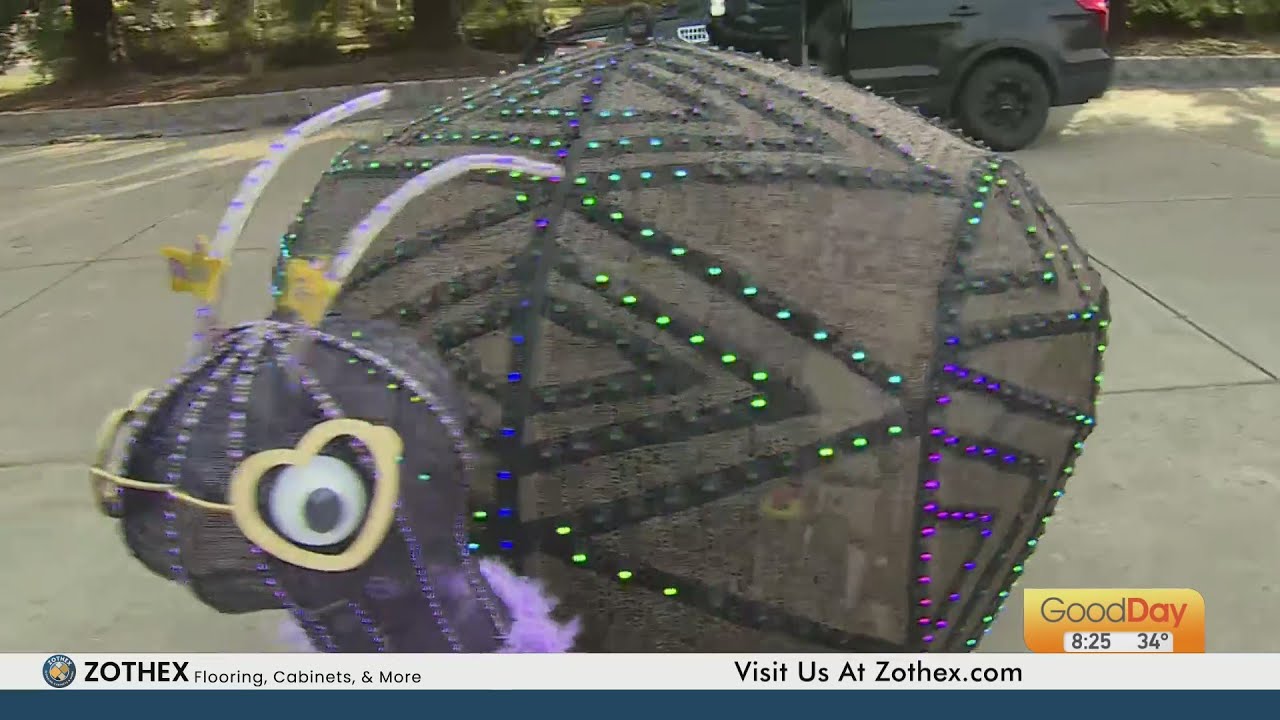 Mardi Gras parade floats - Elk Grove