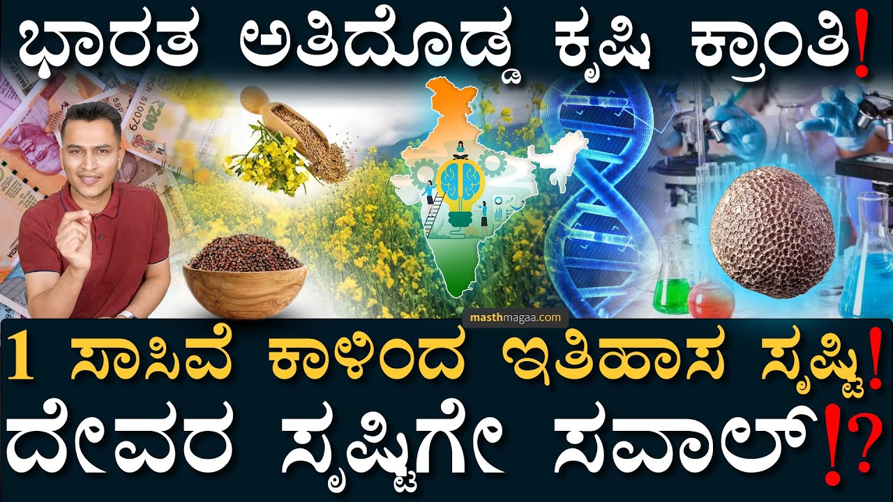 ಈ 1 ಸಾಸಿವೆಯಿಂದ 1.5 ಲಕ್ಷ ಕೋಟಿ ಲಾಭ! | DMH-11 Mustard | Genetic Modification | Masth Magaa