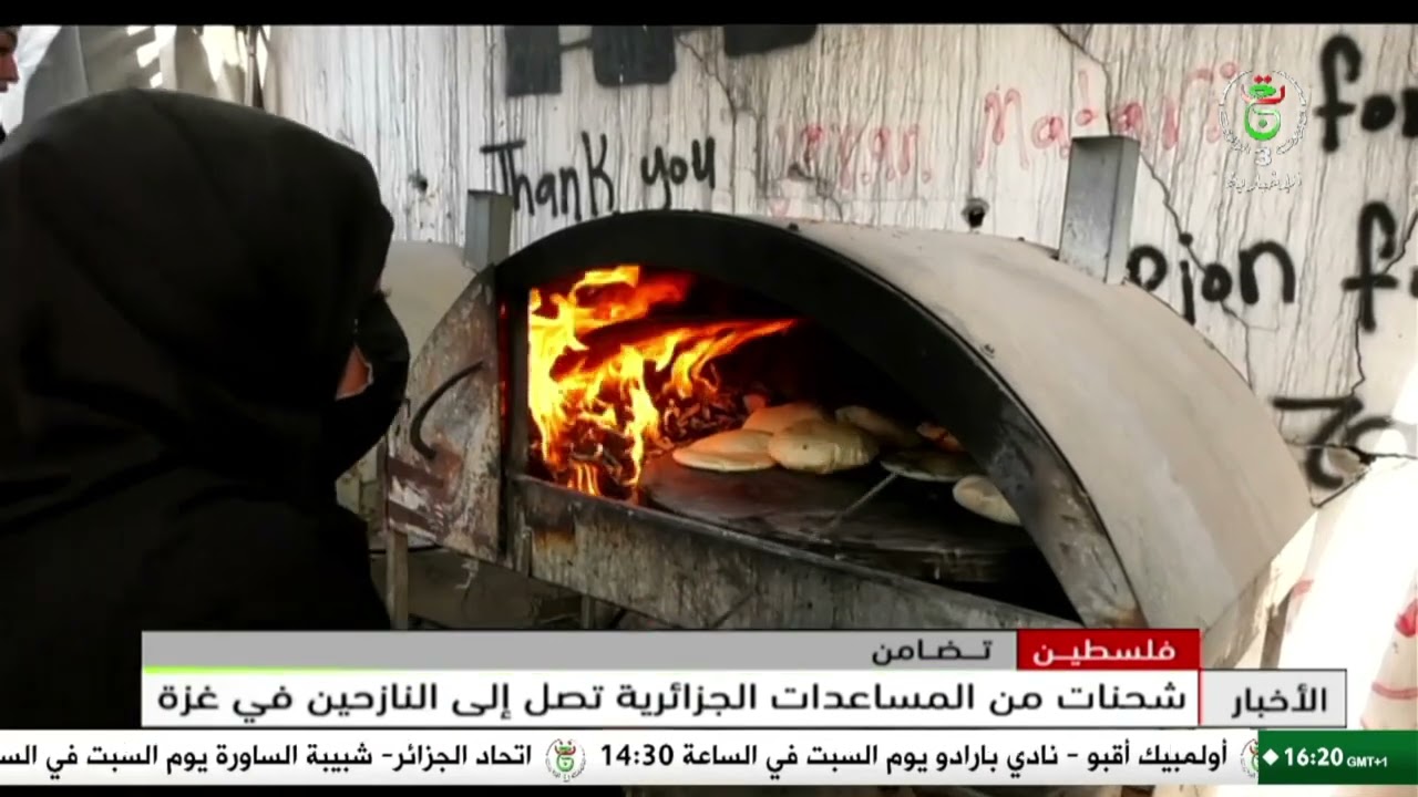 فلسطين| شحنات من المساعدات الجزائرية تصل إلى النازحين في غزة