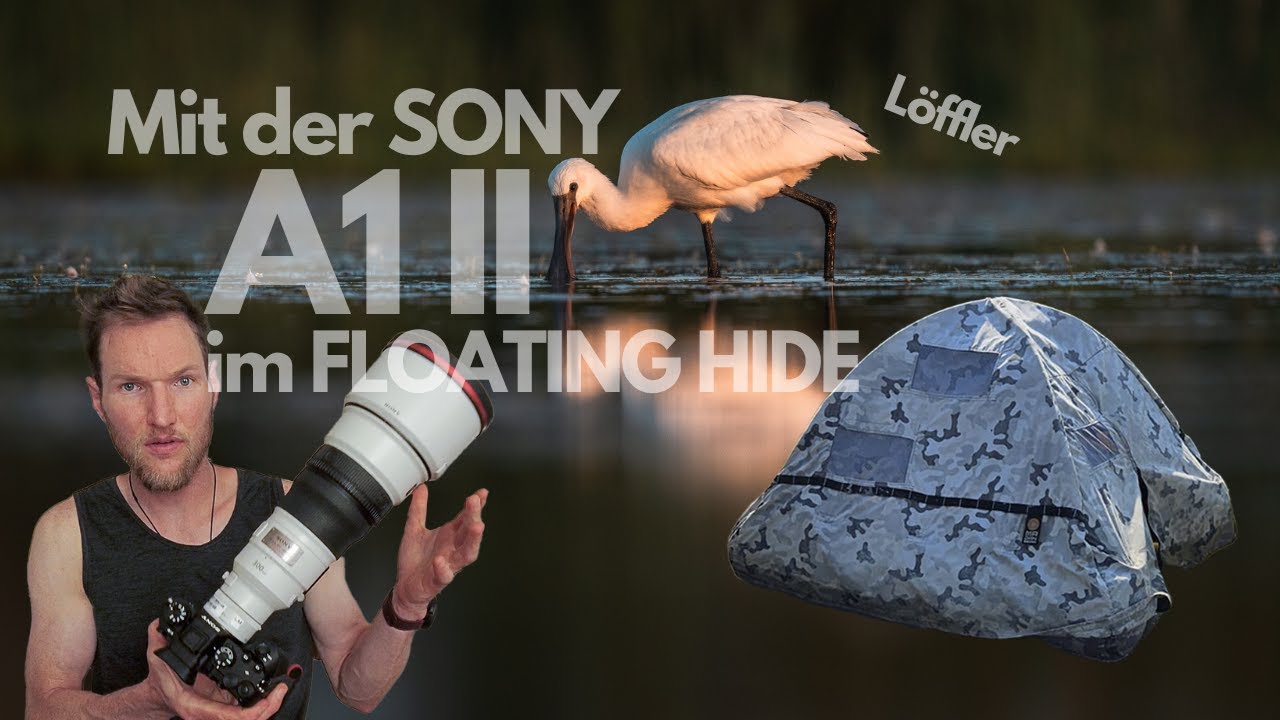 BESSERE TIERFOTOS | nah dran mit der Sony A1 II + 300mm f 2.8