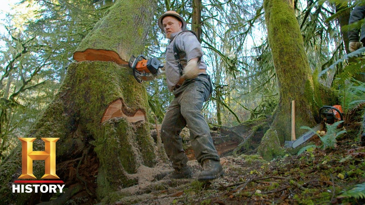 Ax Men: Dangerous Game of Tree Dominoes (Season 10) | History