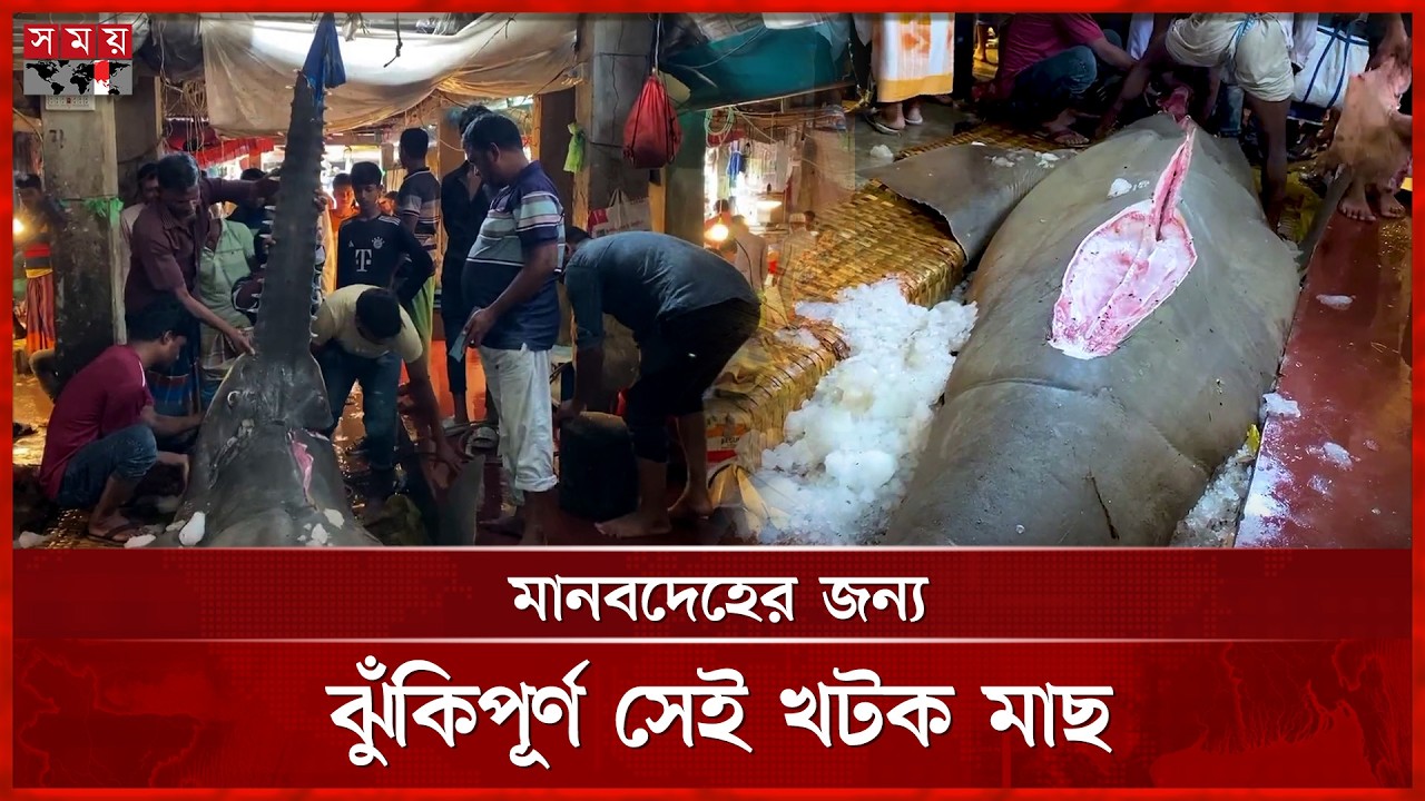 মাটি চাপা দেয়া হলো সেই খটক মাছটি | Katok Fish | Pirojpur | Fish | Somoy TV