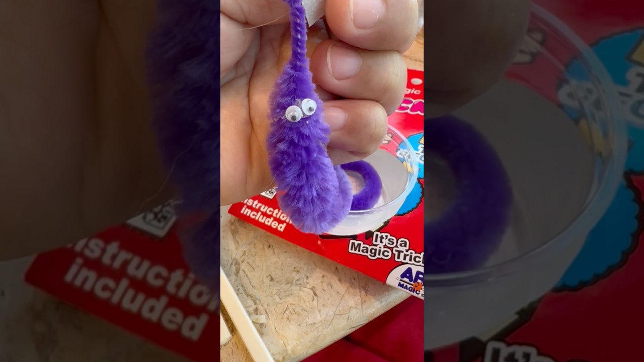 Wacky The magic worm #shorts #wacky