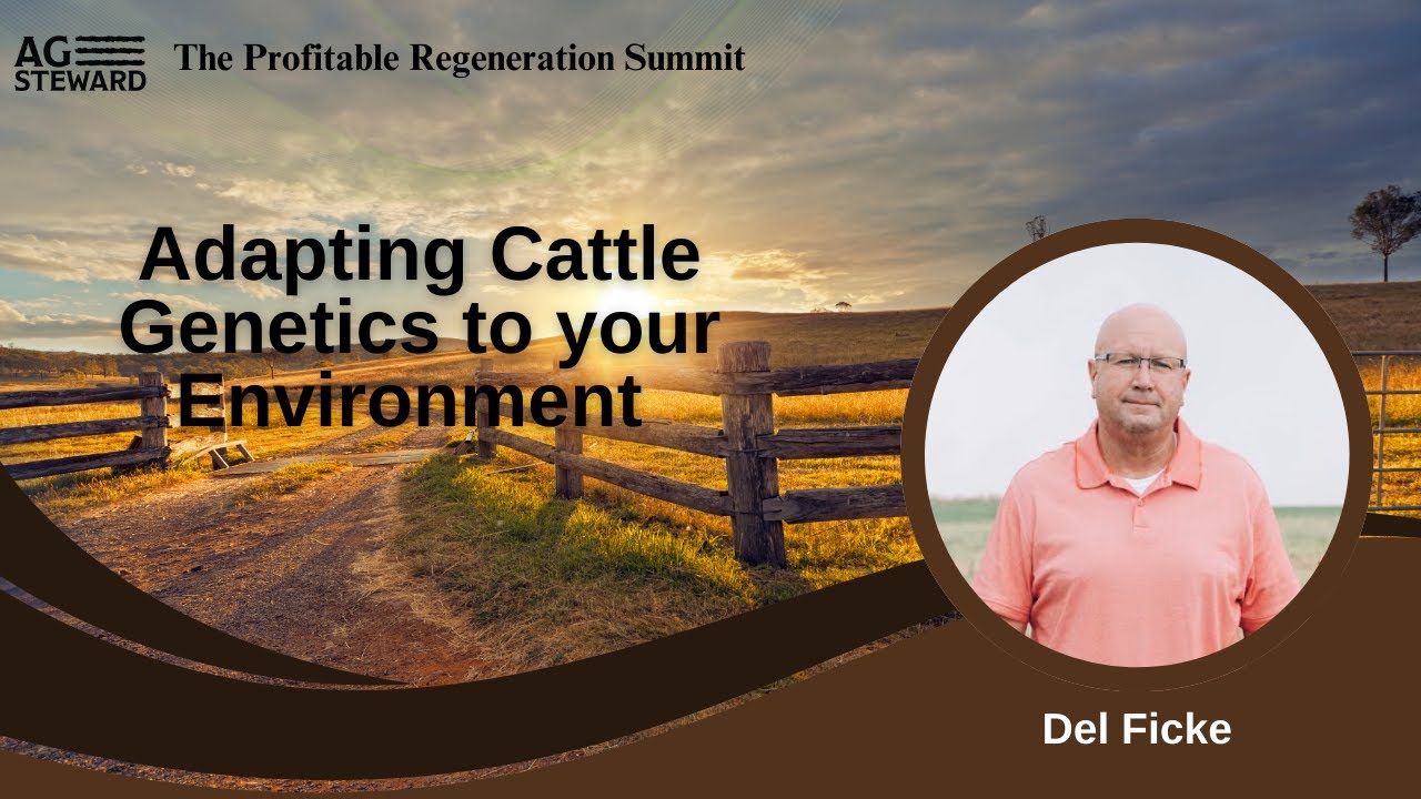 Adapting Cattle Genetics to your Environment with Del Ficke