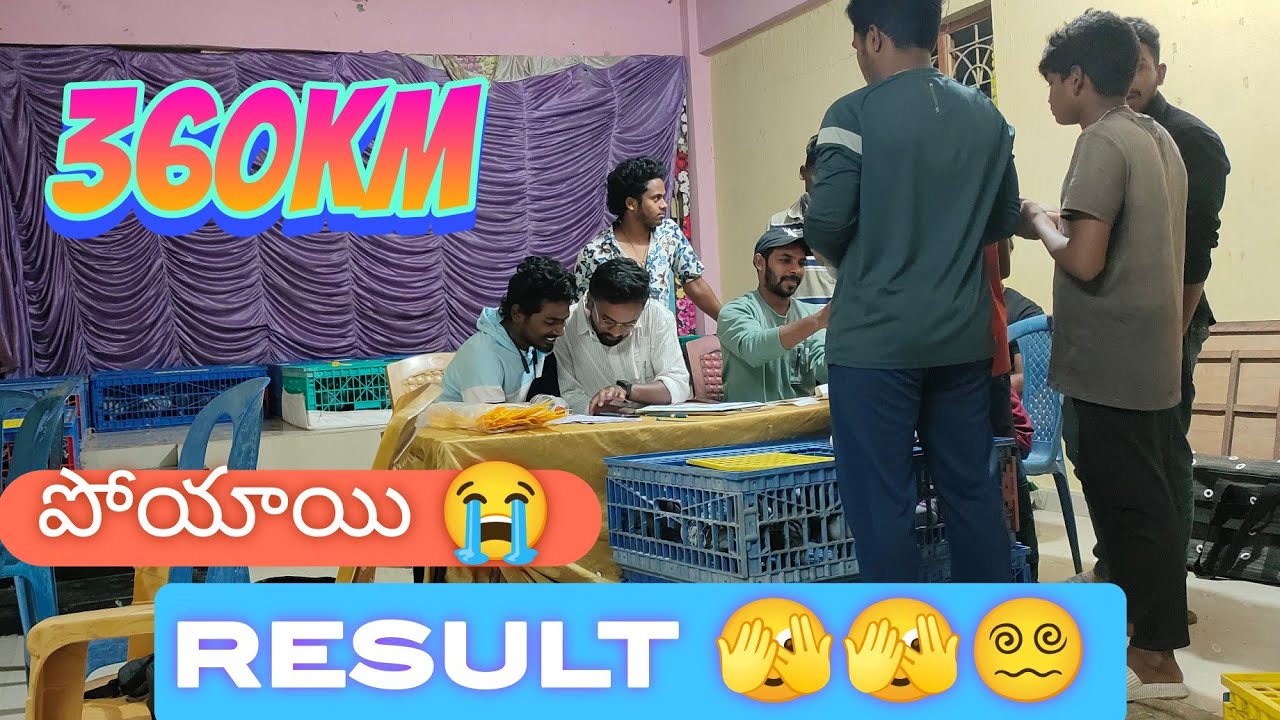 ఐపాయ్ 😥 🤥 పాయే పావురాలు 🥺 రేసింగ్ ఆగిపోదామా 🫤 #pigeonlover #pigeon #racingpipigeons