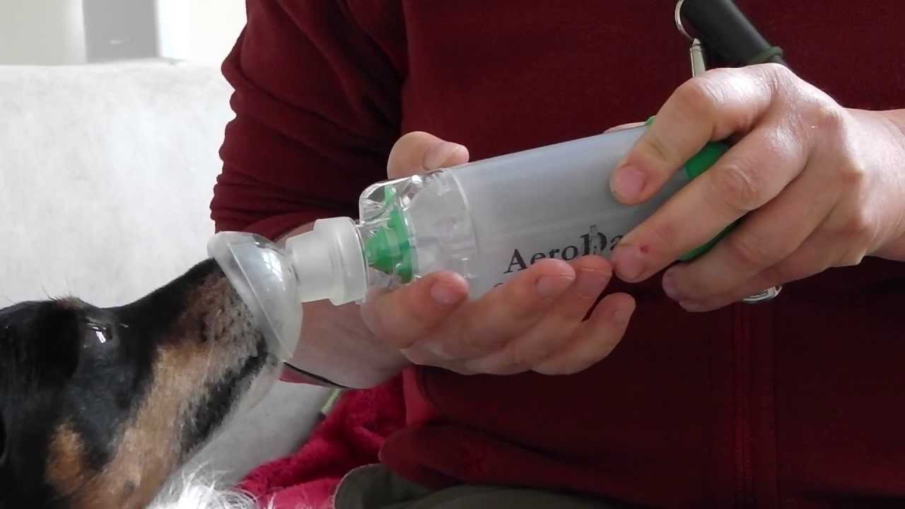 Training von Inhalationstherapie mit Hilfe der intermediären Brücke