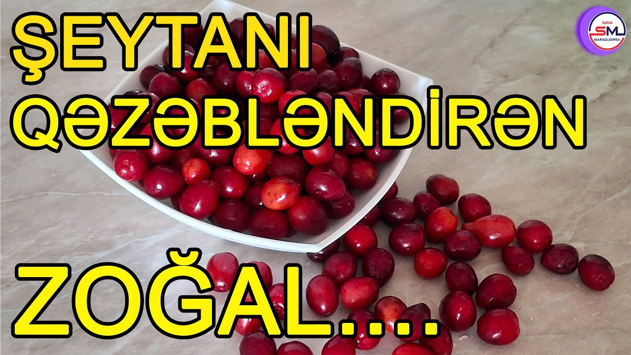 Şeytanı qəzəbləndirən zoğal bir ......
