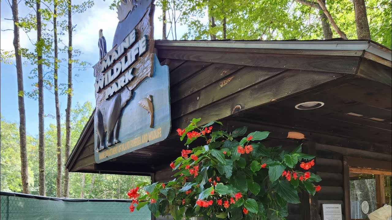 The Maine Wildlife Park