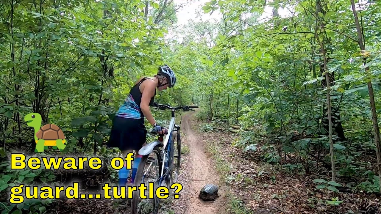 Michigan State Parks 100: Yankee Springs
